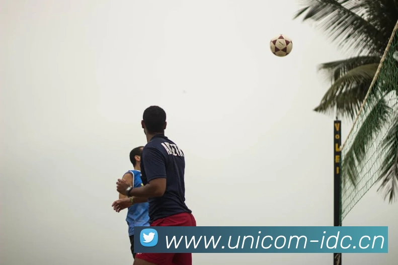 九游app入口平台生态图