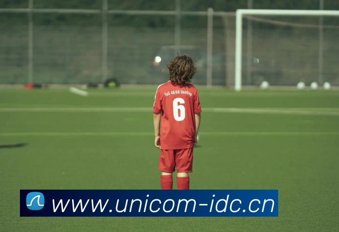 九游app入口APP 封面图